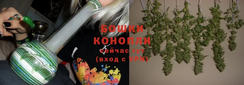 Каннабис SATIVA & INDICA  как найти наркотики  Новочебоксарск 